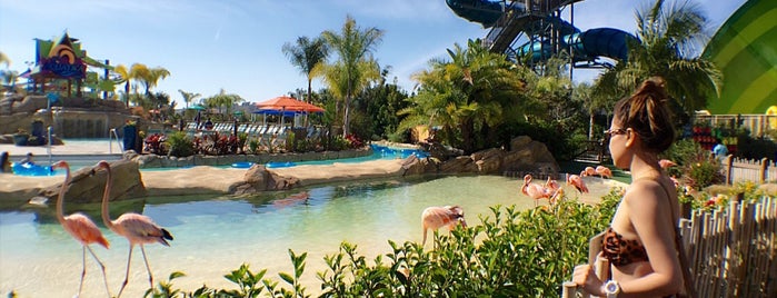 Aquatica San Diego, SeaWorld's Water Park is one of America's Best Water Parks.