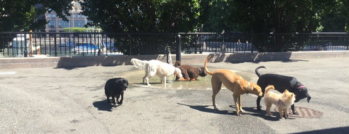 Sirius Dog Run is one of Dog fun spots in NYC!!.