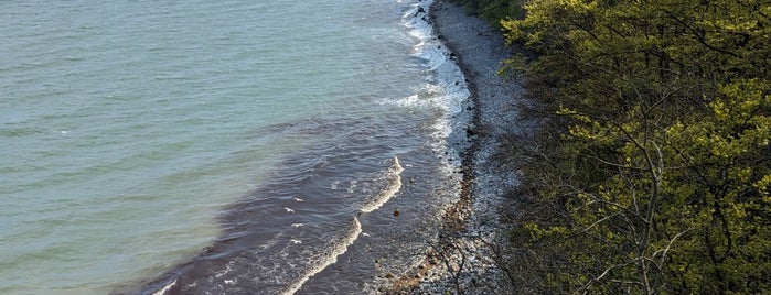 Binz is one of rügen.