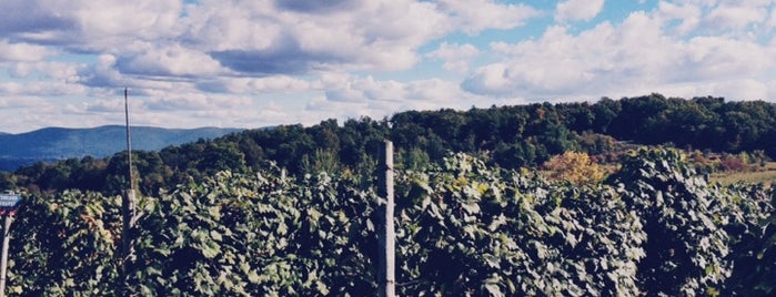 Lawrence Farms Orchards is one of Storm King excursion.