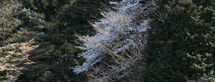 箱根小涌園 天悠 is one of Joshpan.