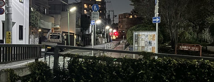 丸山橋 is one of 東京橋.