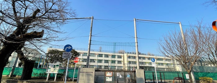 東深沢小学校 is one of 世田谷の公立小学校.