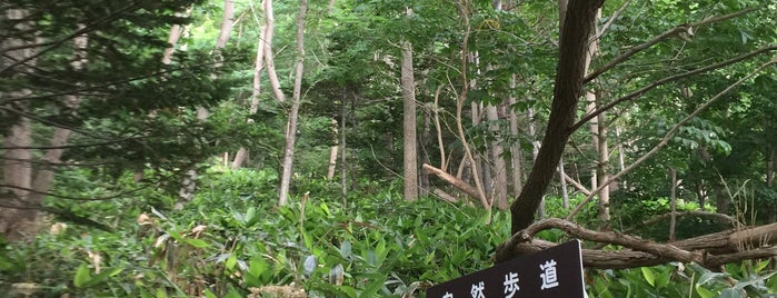 三角山散策路 宮の森入口 is one of สถานที่ที่ norikof ถูกใจ.