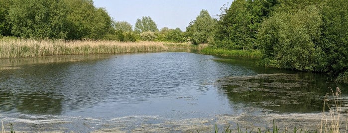 Waters' Edge Country Park & Visitor Centre is one of Top picks for Cafés.