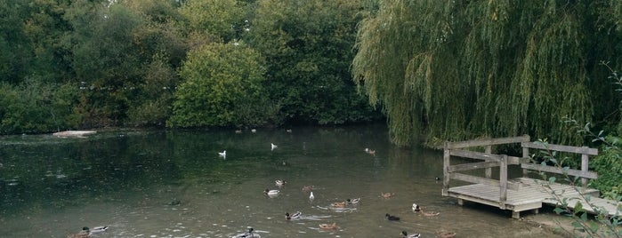 Black Dam Ponds is one of Lugares favoritos de Mike.