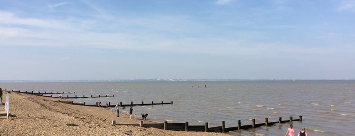 Grain Coastal Park is one of Lugares favoritos de Paul.