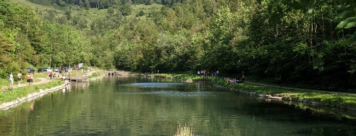 Cwmcarn Forest is one of Top 10 favorites places in Caerphilly, Wales.