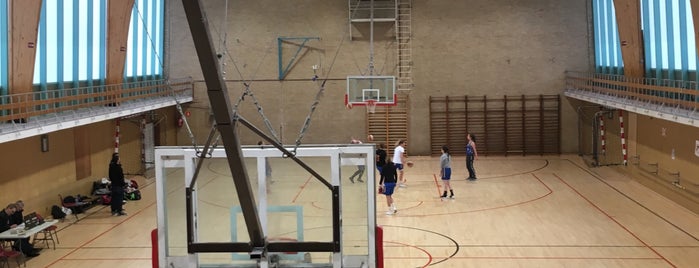 Le Petit Palais des Sports is one of Brussels Gyms.