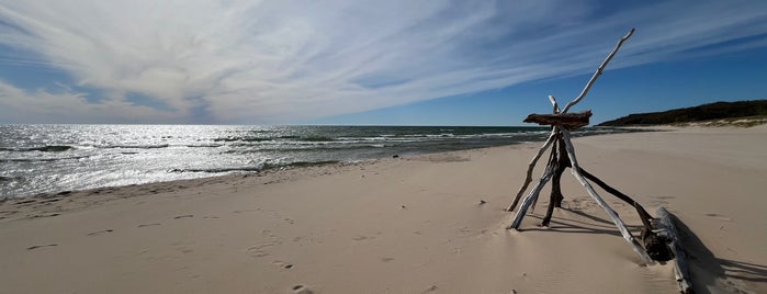 Muskegon State Park Beach is one of Beaches.