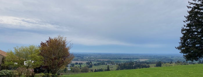 Domaine Drouhin is one of Willamette.