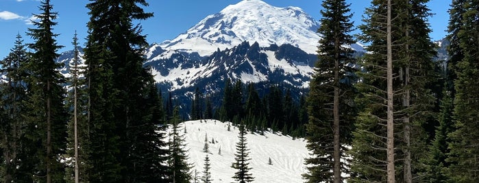 Mount Rainier National Park is one of สถานที่ที่ John ถูกใจ.