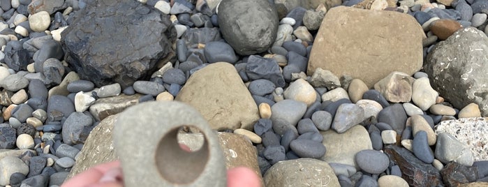 Beverly Beach State Park is one of RoadTripFTW.