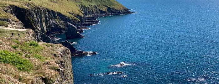 Old Head of Kinsale is one of Johnさんのお気に入りスポット.