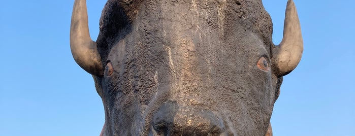 World's Largest Buffalo is one of John : понравившиеся места.