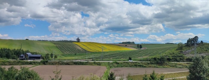 富良野・美瑛ノロッコ号 is one of 北海道(旭川・美瑛・富良野).