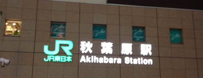 Akihabara Station is one of Japan 2013.