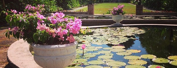 Hope Botanical Gardens is one of Posti che sono piaciuti a Floydie.