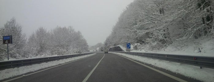 Bagnoli del Trigno is one of IS.