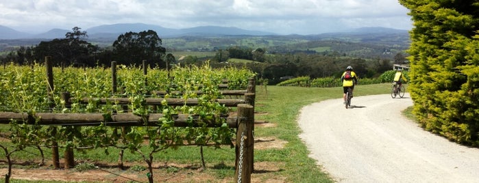 Elmswood Estate is one of Winery Tour!.