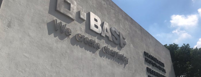 巴斯夫（中国）有限公司  BASF (China) Co. is one of Major Mayor 2.