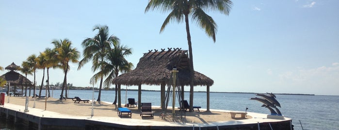 The Dock Key Largo is one of Lugares favoritos de Tracey.