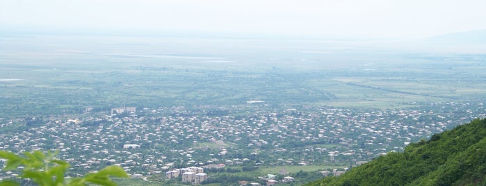 Tsnori is one of Kakheti and around.