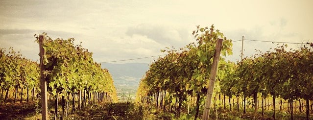 Chiorri Azienda Agricola is one of Le Cantine dell'Umbria.