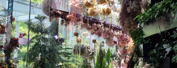 Floral Fantasy is one of AP's Saved Places.