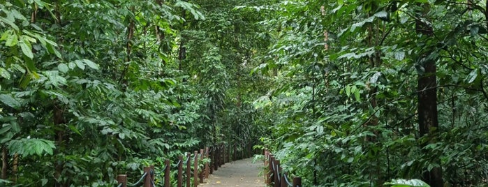 The Rain Forest is one of Singapore.