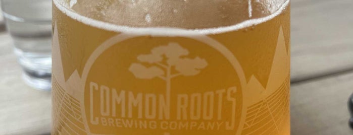 Common Roots Brewing Company is one of USA.