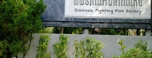 Siamese Fighting Fish Gallery is one of Chida.Chinida 님이 좋아한 장소.