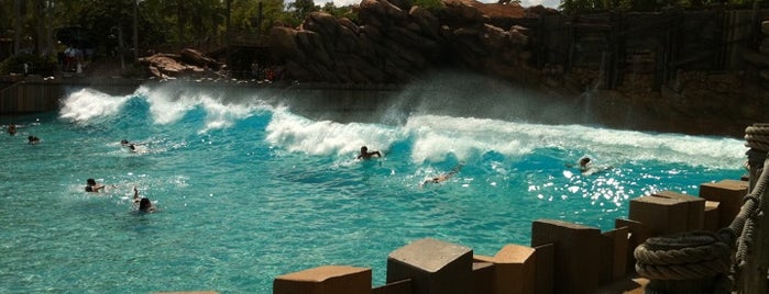 Disney's Typhoon Lagoon Water Park is one of Orlando, FL.