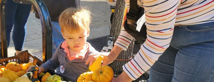 Lincoln Square Farmers Market is one of Lugares favoritos de Angie.