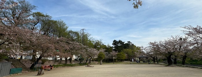 Okazaki Castle is one of 日本の100名城.