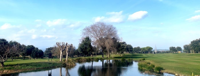 Torremirona Golf and Spa Resort Navata is one of My favorites for Diners.