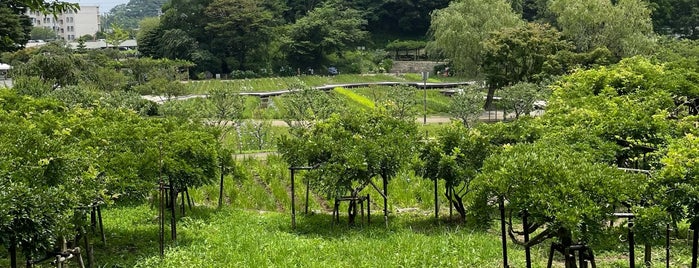 横須賀しょうぶ園 is one of 横須賀三浦半島.