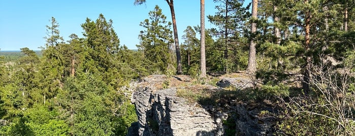 Torsburgen is one of Gotland 2019.