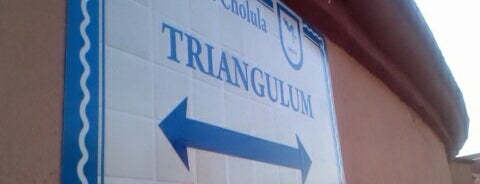 Triangulum is one of Puebla.