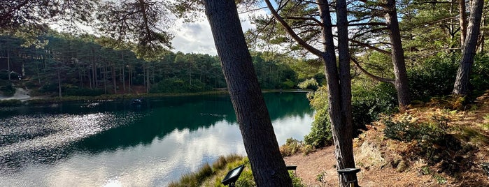 Blue Pool is one of DORSET JOLLY HOLS.