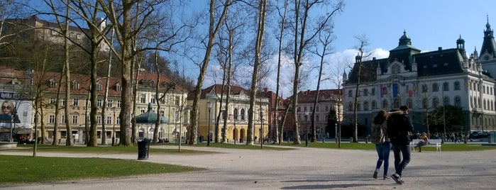 Kongresni trg is one of Ljubljana.