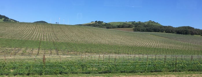 Napa-sonoma Line is one of Guide to San Francisco.