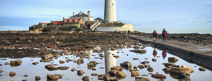 St Mary's Lighthouse is one of Northumberland nature reserves.