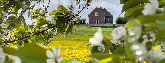 Oude Haven Schokland is one of Noordoostpolder.