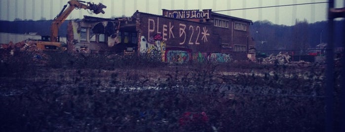 PLEK 322 is one of  Do.