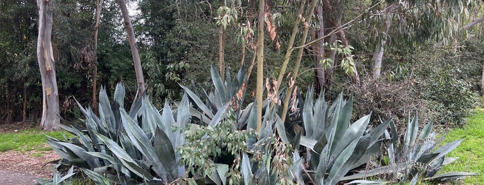 San Dieguito Park is one of Parks.