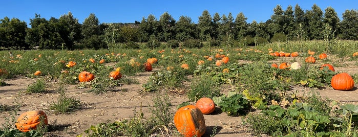 Bates Nut Farm is one of Holiday Activities.