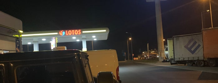 Lotos is one of Илья’s Liked Places.