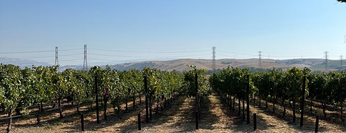 Steven Kent Winery is one of Livermore Wineries.