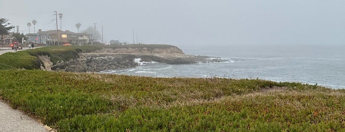 West Cliff Drive is one of Santa Cruz CA.